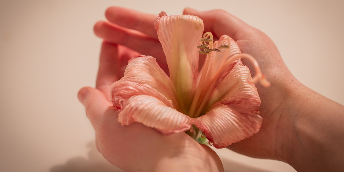 Womb Healing: Reclaim the Sacred Power Within